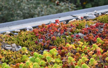 the cost of Selside green roof installation