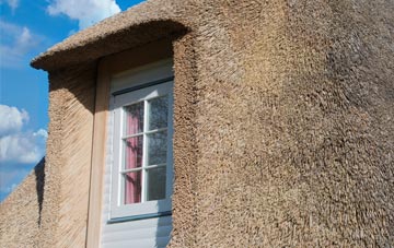 Selside thatch roof disadvantages